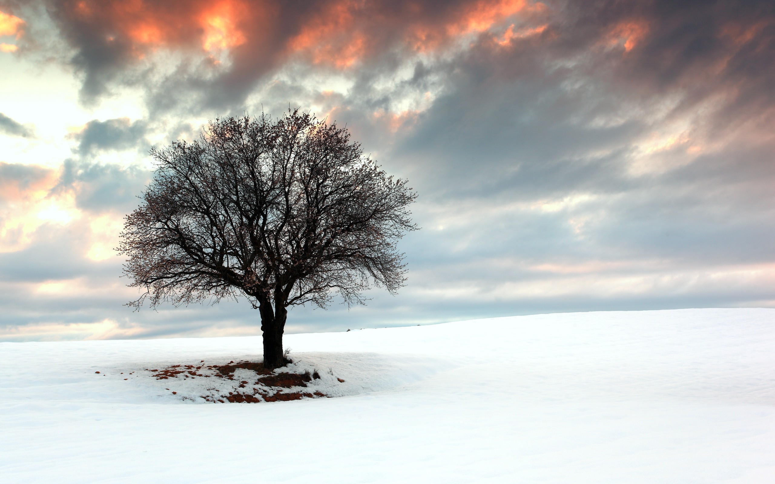 世界游泳心理测评工具：选手个体化辅导基础建设，游泳心理障碍